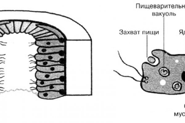 Кракен новый маркетплейс